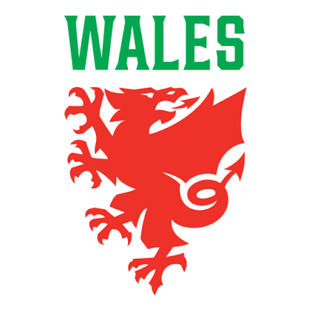 Football Association of Wales logo